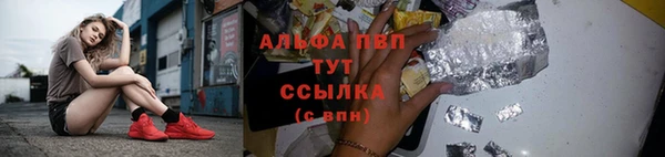 амф Балахна